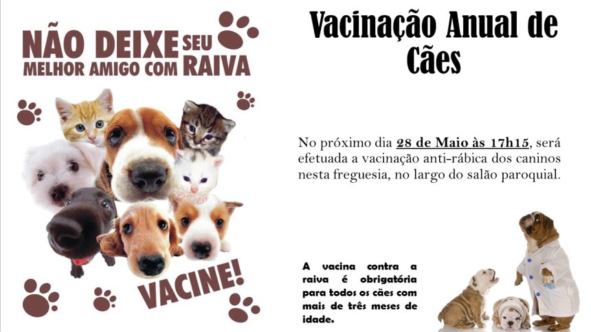 vacinação anual de cães